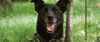 Тата из Красной сосны