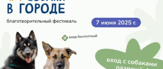 Фестиваль Собаки в городе 2025