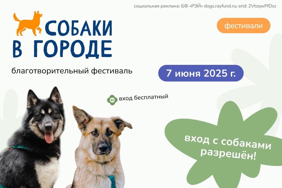 Фестиваль Собаки в городе 2025