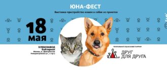 Выставка Юна-Фест 2025 в Москве