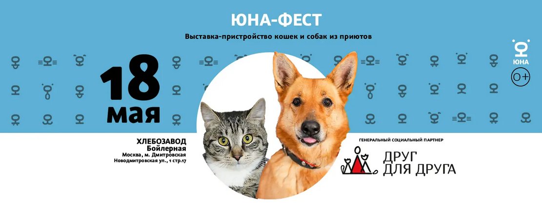 Выставка Юна-Фест 2025 в Москве