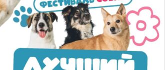 Фестиваль Лучший друг 2025 в Москве