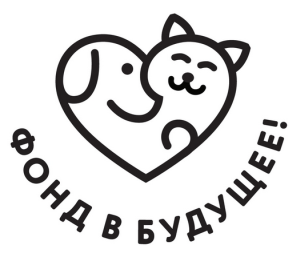 Фонд В будущее