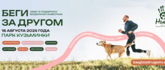 Выставка и забег Беги за другом 2025