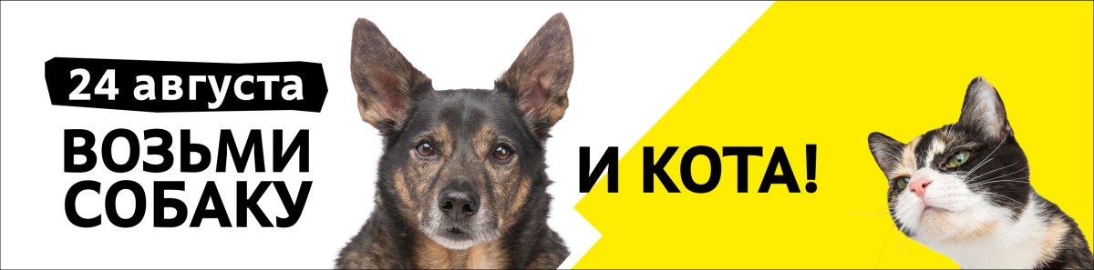 Выставка Всем по собаке 24 августа 2025