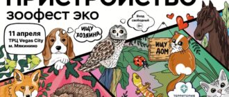 Выставка-пристройство Зоофест Эко 11 апреля 2026
