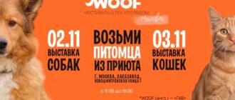 Фестиваль Woof в Москве 2-3 ноября 2025