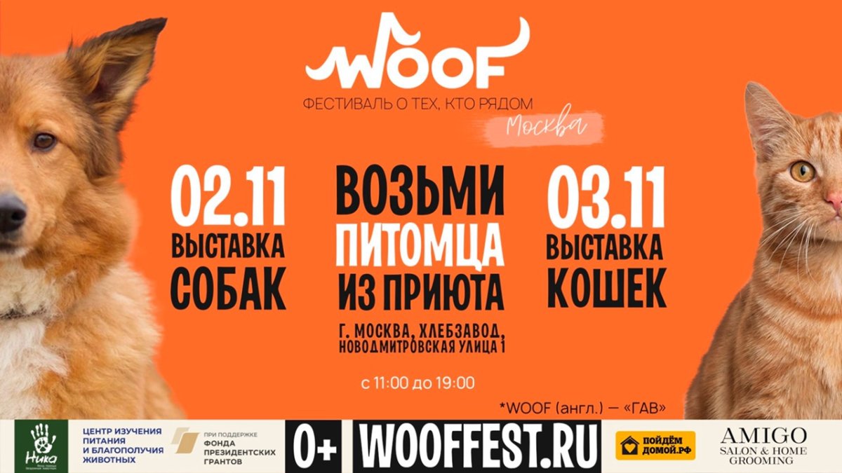 Фестиваль Woof в Москве 2-3 ноября 2025