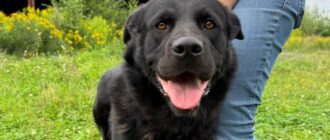 Чарльз из Зоо Дома