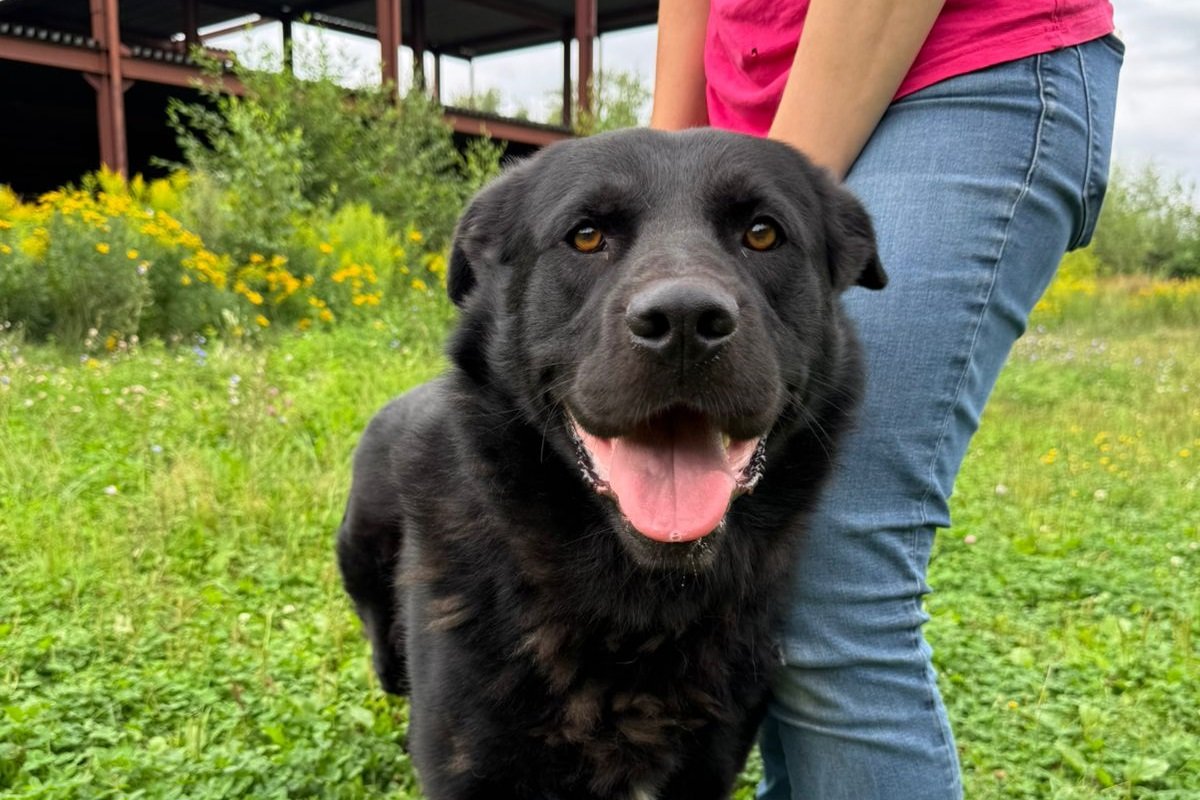 Чарльз из Зоо Дома