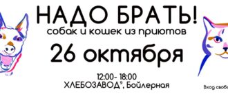 Выставка Надо брать 26 октября 2025 г.