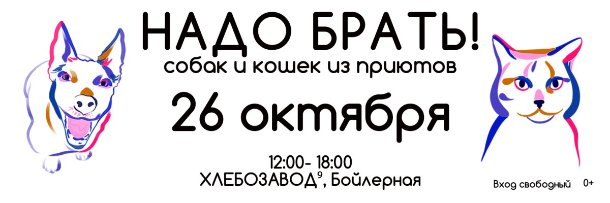 Выставка Надо брать 26 октября 2025 г.