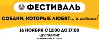 Фестиваль Собаки, которые любят... и котики 2025