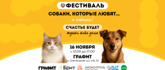 Фестиваль Собаки, которые любят... и котики 2025
