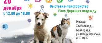 Выставка Ёлка Дарящих надежду 2025