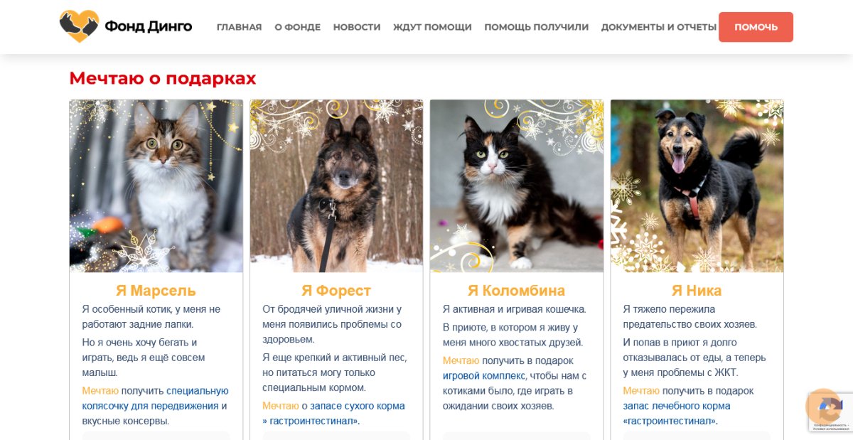 Фонд Динго - Шарик для Бобика