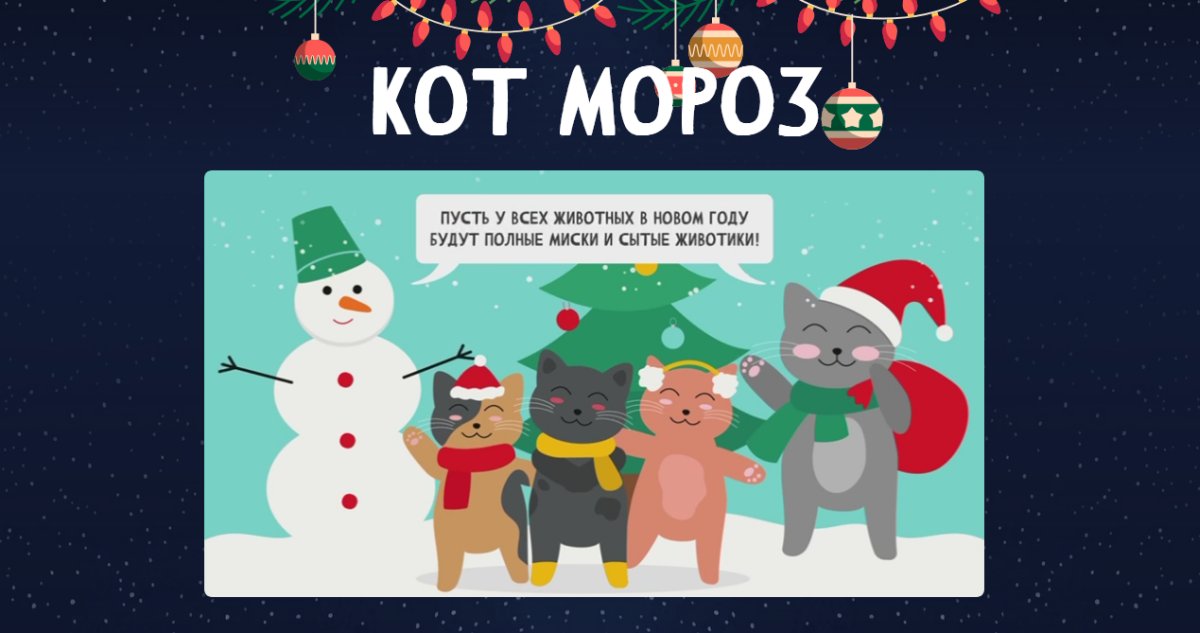 Фонд защиты городских животных - Кот Мороз