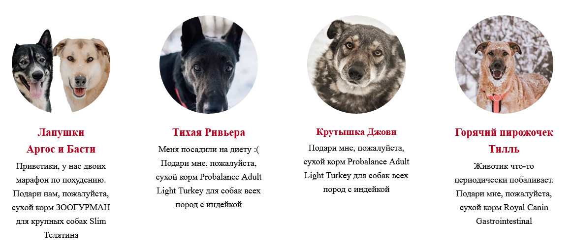 Приют Красная сосна - Тайный Санта