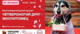 Фестиваль Моспитомец х Четвероногий друг 16-19 апреля 2026