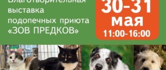 Выставка приюта Зов предков