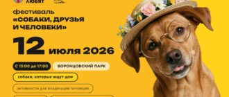 Фестиваль Собаки, друзья и человеки 12 июля 2026 года