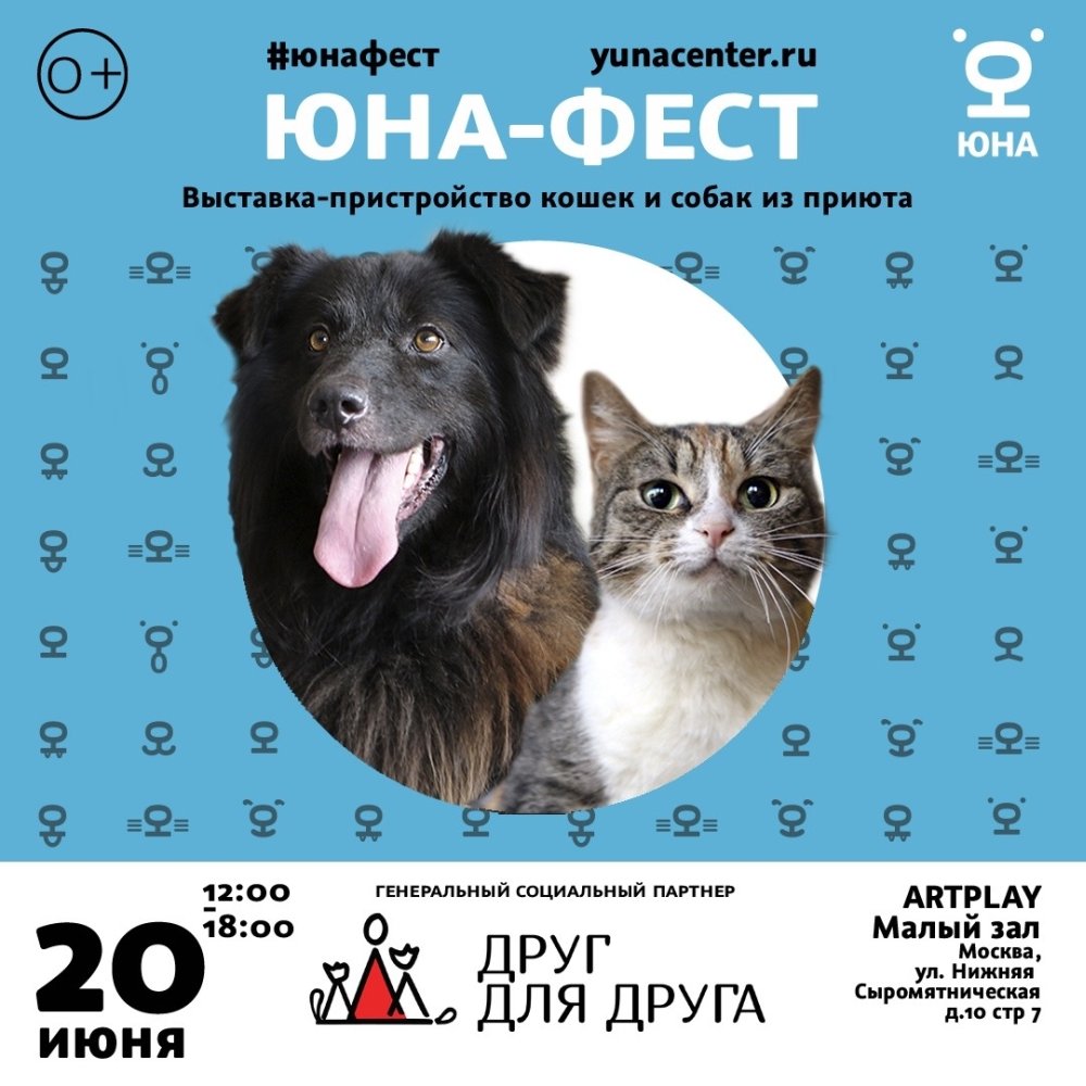Выставка Юна-Фест 20 июня 2026 года